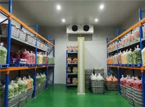 Cold Storage Chiller untuk Penyimpanan Snack / Makanan Ringan
